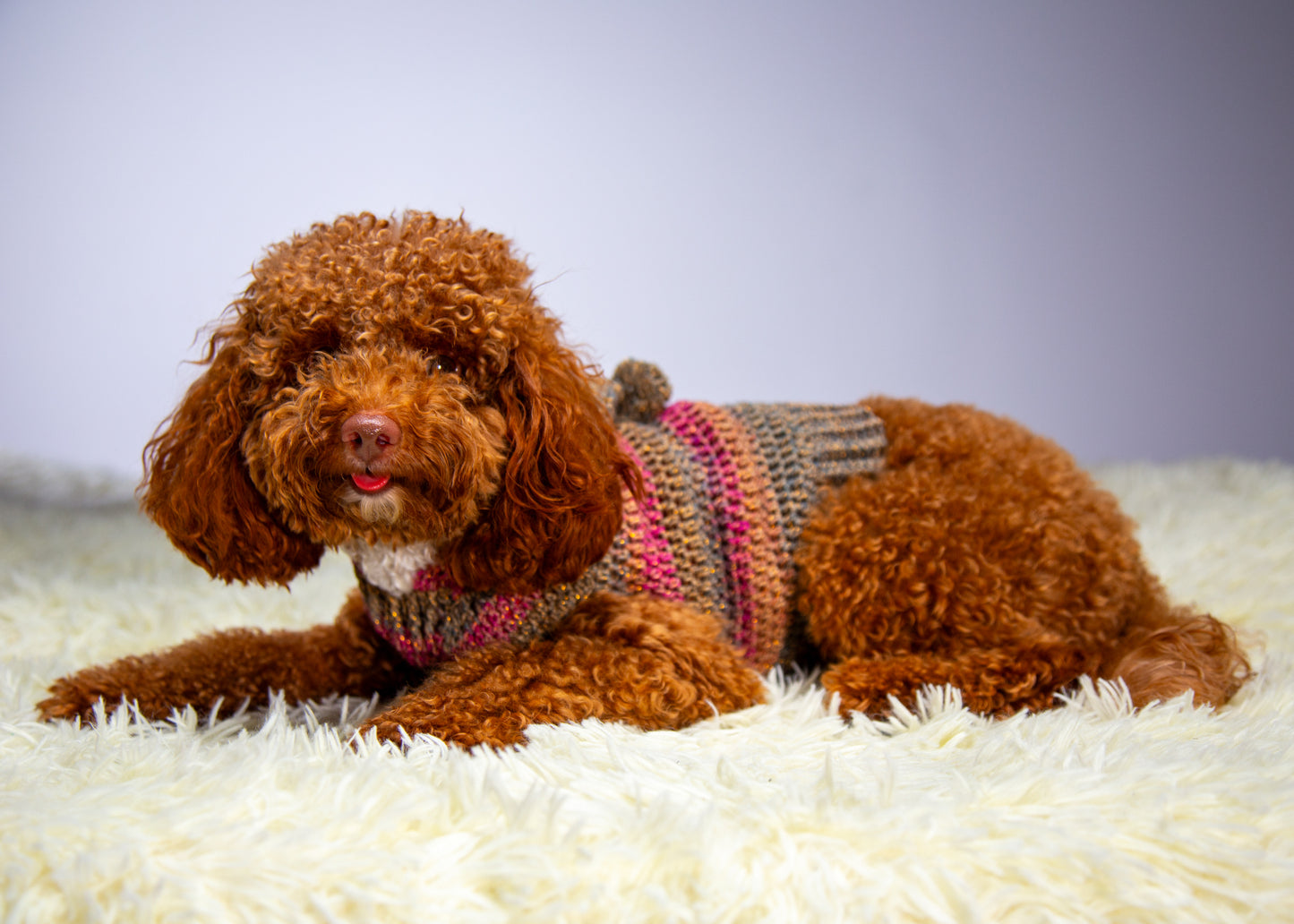 vestito pet con cappuccio fatto a mano