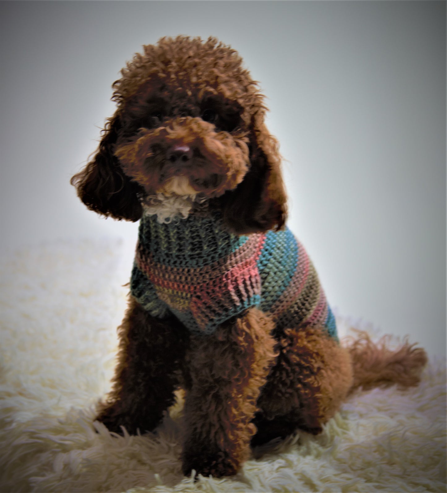vestito per pet Oliver fatto completamente a mano