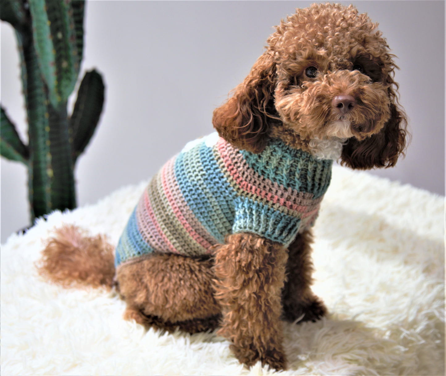 vestito per pet Oliver fatto completamente a mano