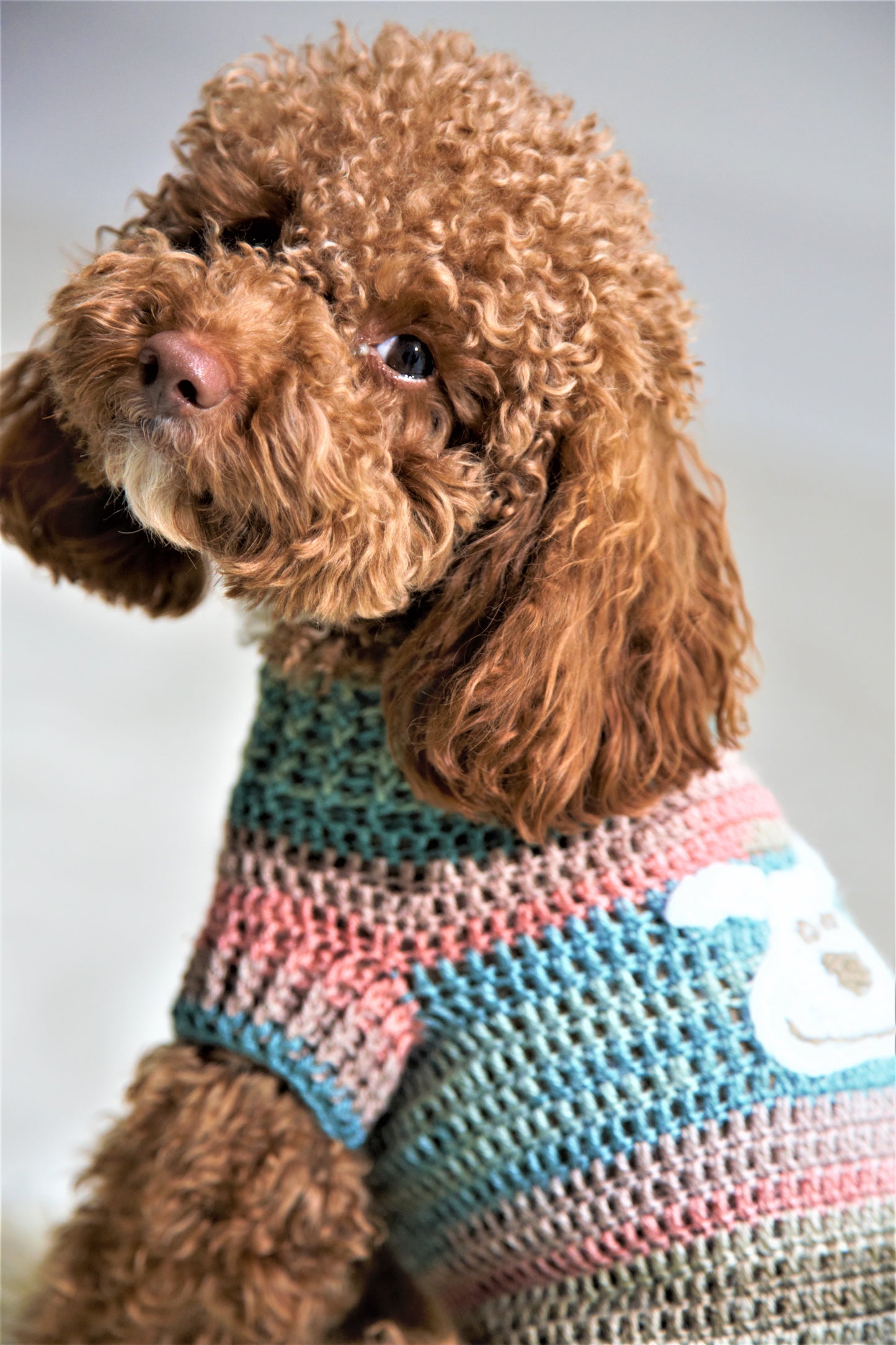 vestito per pet Oliver fatto completamente a mano