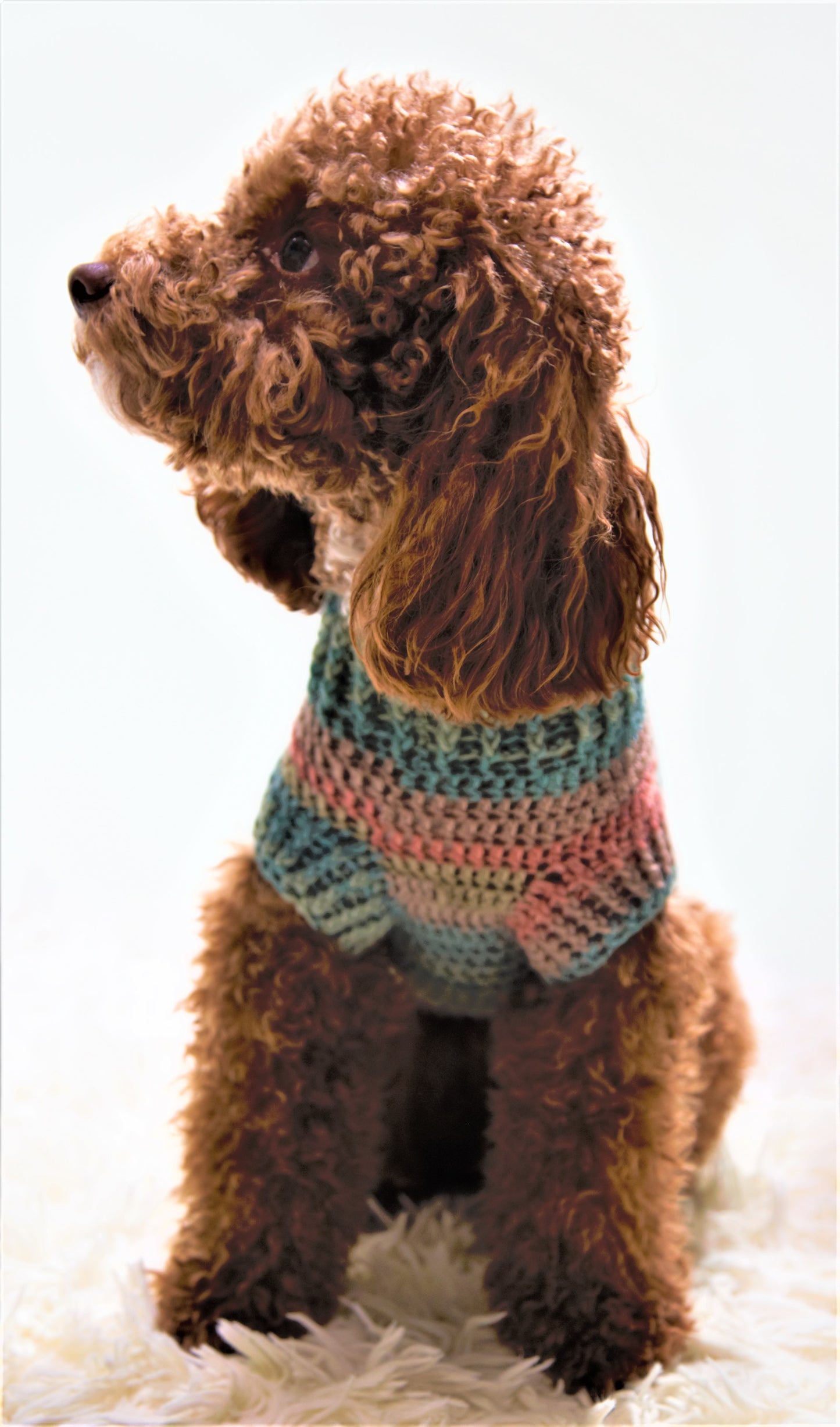 vestito per pet Oliver fatto completamente a mano