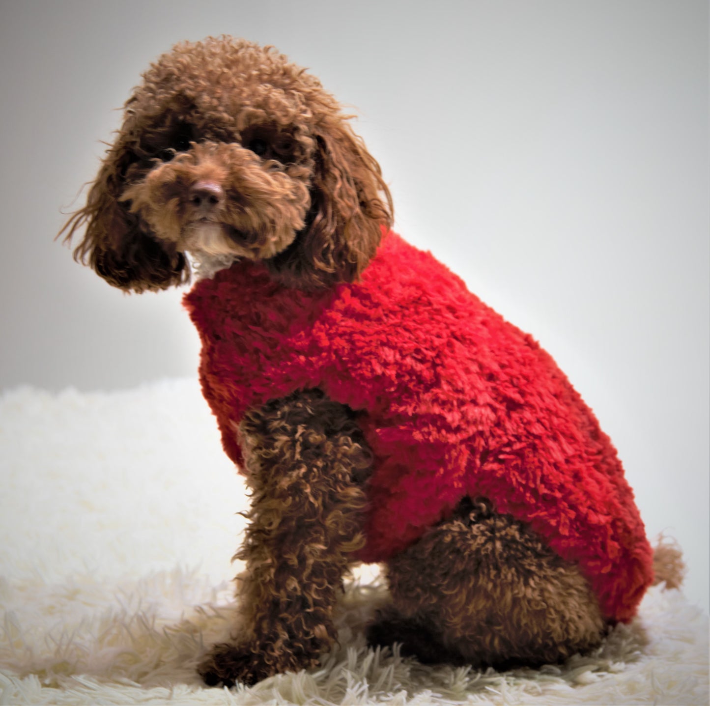 vestito pet Noah fatto completamente a mano