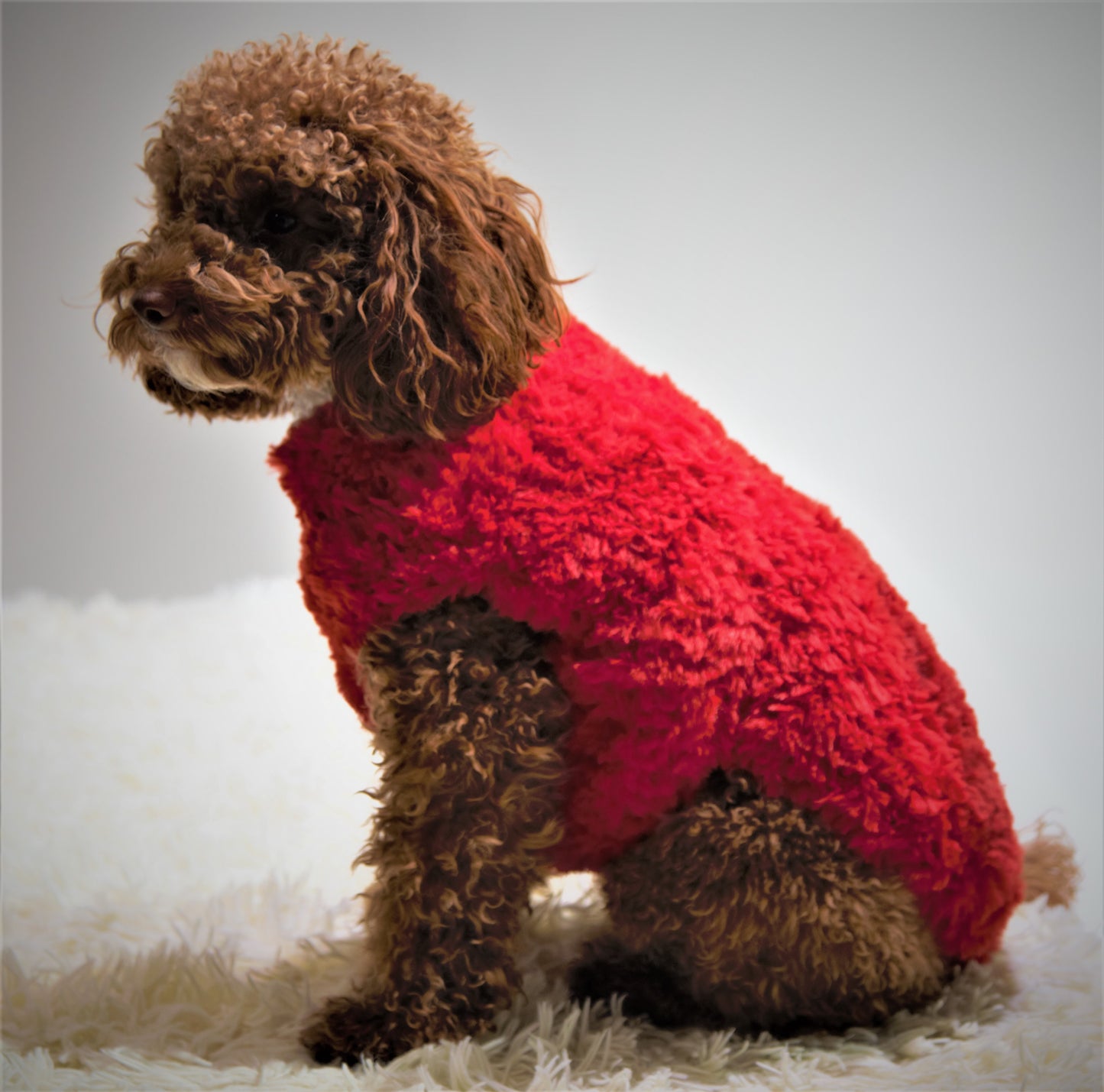 vestito pet Noah fatto completamente a mano