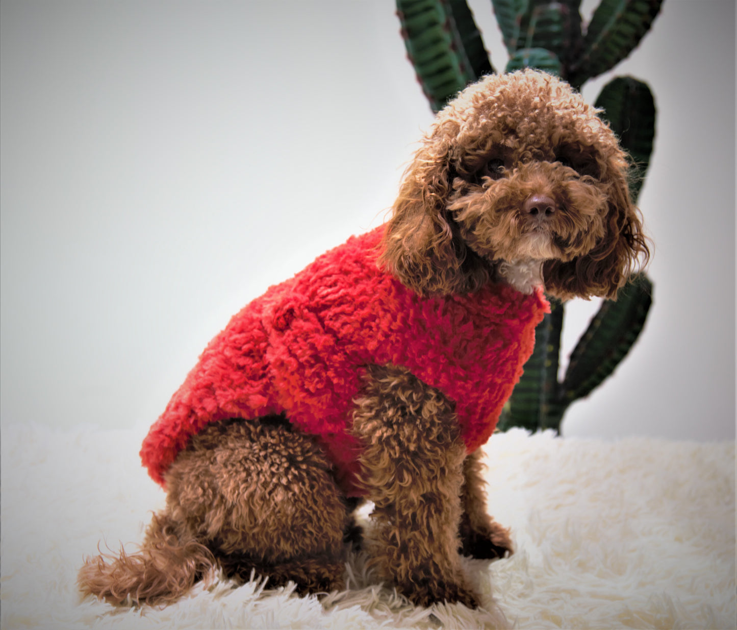 vestito pet Noah fatto completamente a mano